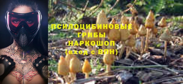 ECSTASY Верея