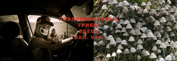 бошки Богданович