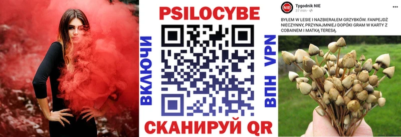 ОМГ ОМГ как зайти  Ветлуга  Галлюциногенные грибы GOLDEN TEACHER 